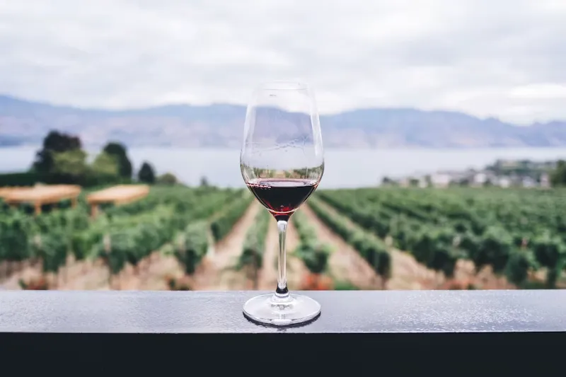 Bodegas y control de fermentación